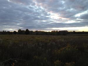 6149 Roy Rd, Gladwin, MI 48624 photo 23