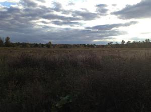 6149 Roy Rd, Gladwin, MI 48624 photo 6