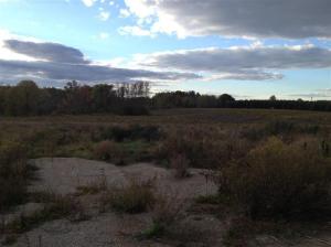 6149 Roy Rd, Gladwin, MI 48624 photo 4