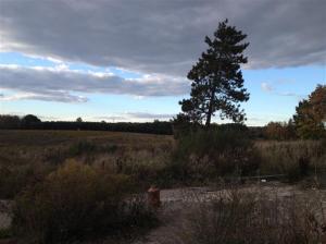 6149 Roy Rd, Gladwin, MI 48624 photo 3