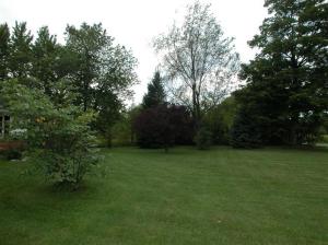 1310 E Wagner Rd, Buchanan, MI 49107 photo 16