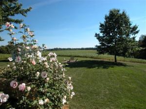 1310 E Wagner Rd, Buchanan, MI 49107 photo 22
