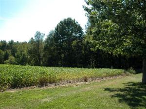 1310 E Wagner Rd, Buchanan, MI 49107 photo 24