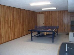 17669 Ruby Ln, Big Rapids, MI 49307 photo 7
