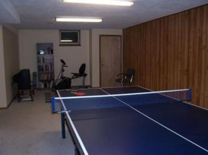 17669 Ruby Ln, Big Rapids, MI 49307 photo 8