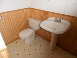 316 Hall St, Belding, MI 48809 photo 12