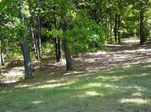 204 Knott, Niles, MI 49120 photo 6