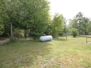 5638 N Pine Ave, White Cloud, MI 49349 photo 7