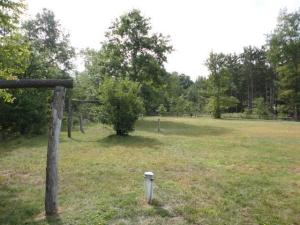 5638 N Pine Ave, White Cloud, MI 49349 photo 6