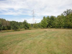 5638 N Pine Ave, White Cloud, MI 49349 photo 5