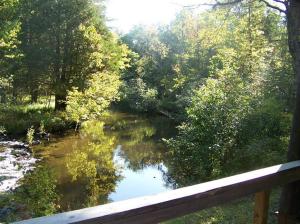13030 N Walnut Ave, Bitely, MI 49309 photo 10