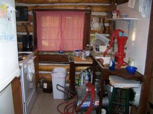 13030 N Walnut Ave, Bitely, MI 49309 photo 14