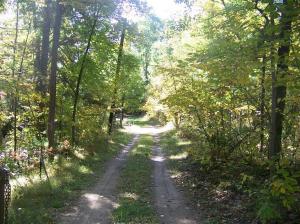 13030 N Walnut Ave, Bitely, MI 49309 photo 6