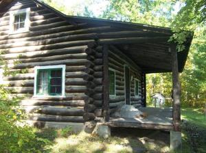 13030 N Walnut Ave, Bitely, MI 49309 photo 4