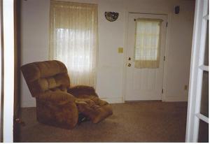 3771 E Reading, Osseo, MI 49266 photo 15