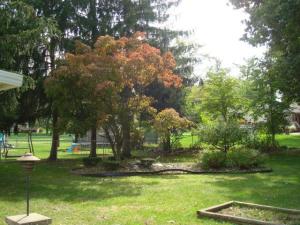 1241 Oregon Rd, Adrian, MI 49221 photo 3
