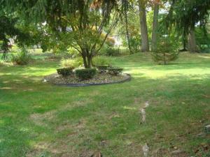 1241 Oregon Rd, Adrian, MI 49221 photo 20