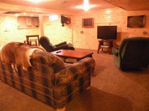 4245 Lyons, Lyons, MI 48851 photo 11