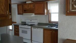 335 Summit St, Saranac, MI 48881 photo 3