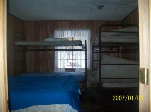 8630 N Dogpatch Dr, Irons, MI 49644 photo 5
