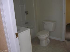 216 S Constantine, Three Rivers, MI 49093 photo 9