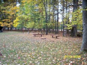 4590 Able, Irons, MI 49644 photo 7