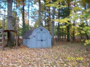 4590 Able, Irons, MI 49644 photo 8