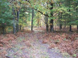 210 Baseline Rd, White Cloud, MI 49349 photo 2