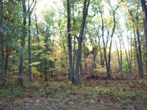 210 Baseline Rd, White Cloud, MI 49349 photo 4