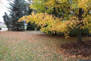 1172 E Court St, White Cloud, MI 49349 photo 4