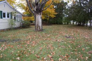 1172 E Court St, White Cloud, MI 49349 photo 2
