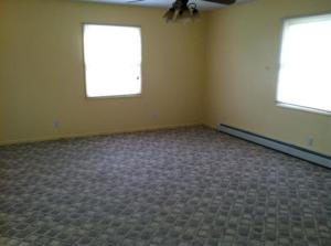 360 Maple, Pierson, MI 49339 photo 5