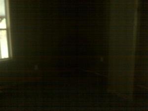 956 E 6 Mile Rd, White Cloud, MI 49349 photo 5