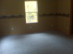 956 E 6 Mile Rd, White Cloud, MI 49349 photo 4