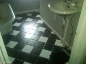 877 E Wilcox Ave, White Cloud, MI 49349 photo 6
