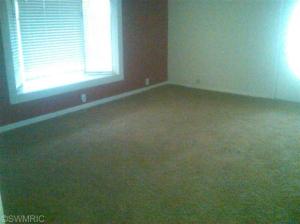 877 E Wilcox Ave, White Cloud, MI 49349 photo 5