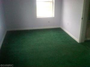 877 E Wilcox Ave, White Cloud, MI 49349 photo 7