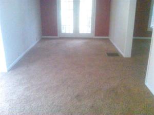 877 E Wilcox Ave, White Cloud, MI 49349 photo 4