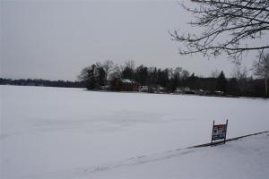 741 Lakeside Dr, Stanton, MI 48888 photo 15