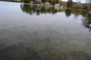 741 Lakeside Dr, Stanton, MI 48888 photo 11