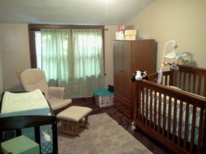 125 E Lytle St, Ionia, MI 48846 photo 12