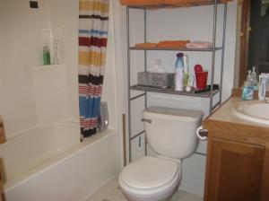 444 Sophia Way, Pullman, MI 49450 photo 13