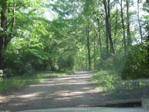 10575 M-60, Three Rivers, MI 49093 photo 6
