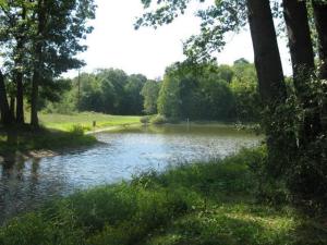 10575 M-60, Three Rivers, MI 49093 photo 3