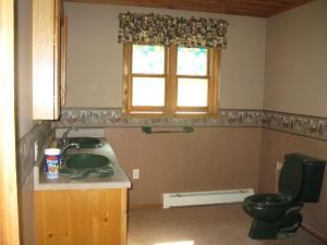 10575 M-60, Three Rivers, MI 49093 photo 12