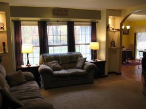 482 Beechwood Dr NW, Stanton, MI 48888 photo 4