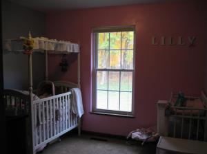 482 Beechwood Dr NW, Stanton, MI 48888 photo 9