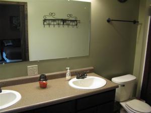 482 Beechwood Dr NW, Stanton, MI 48888 photo 8