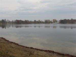 482 Beechwood Dr NW, Stanton, MI 48888 photo 13
