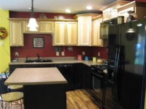 482 Beechwood Dr NW, Stanton, MI 48888 photo 3